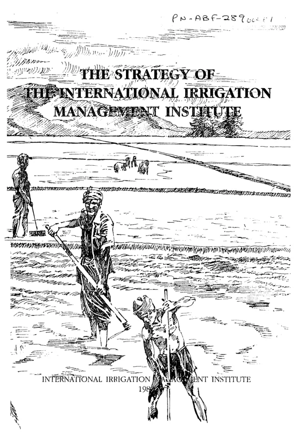 Strategy of the International Irrigation Management Institute