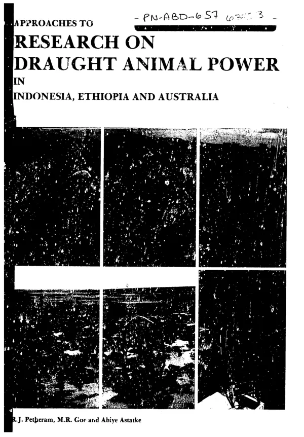 Approaches to research on draught animal power in Indonesia, Ethiopia and Australia