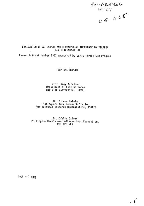 Evaluation of autosomal and chromosomal influence on tilapia sex determination