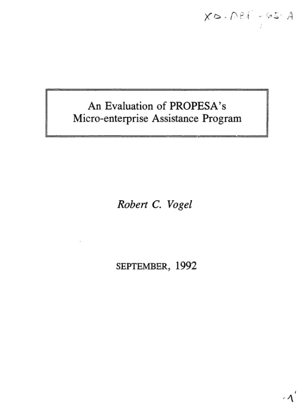 Evaluation of PROPESA's micro-enterprise assistance program