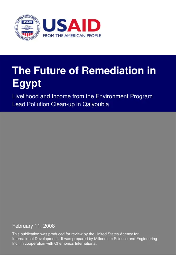 The future of remediation in Egypt
