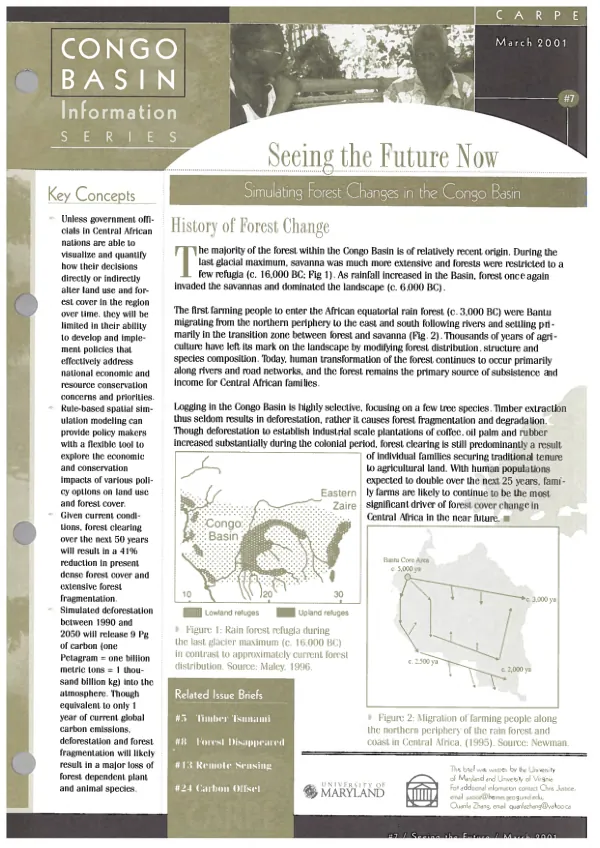 Seeing the future now : simulating forest changes in the Congo Basin
