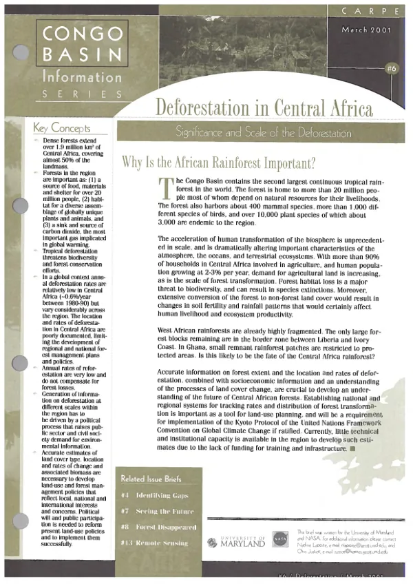 Deforestation in Central Africa : Significance and scale of the deforestation