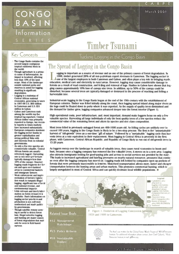 Timber tsunami : tracking logging in the Congo Basin