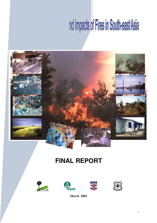 The underlying causes and impacts of fires in South-east Asia : final report