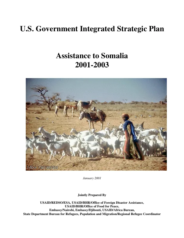 U.S. Government integrated strategic plan : assistance to Somalia 2001-2003