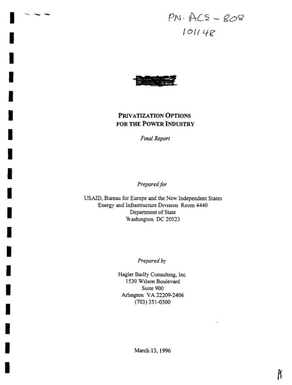 Privatization options for the power industry : final report