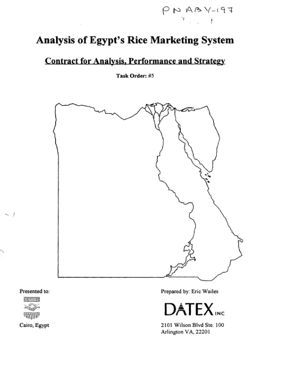Analysis of Egypt"s rice marketing system
