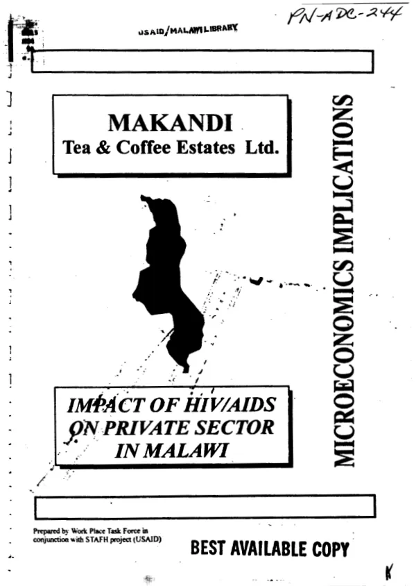 The microeconomic implications of HIV/AIDS