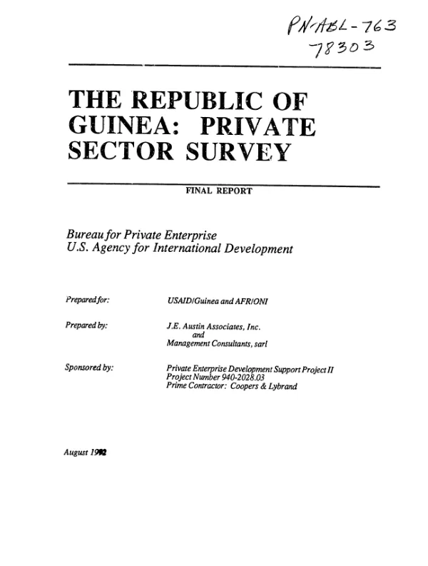 Republic of Guinea : private sector survey -- final report