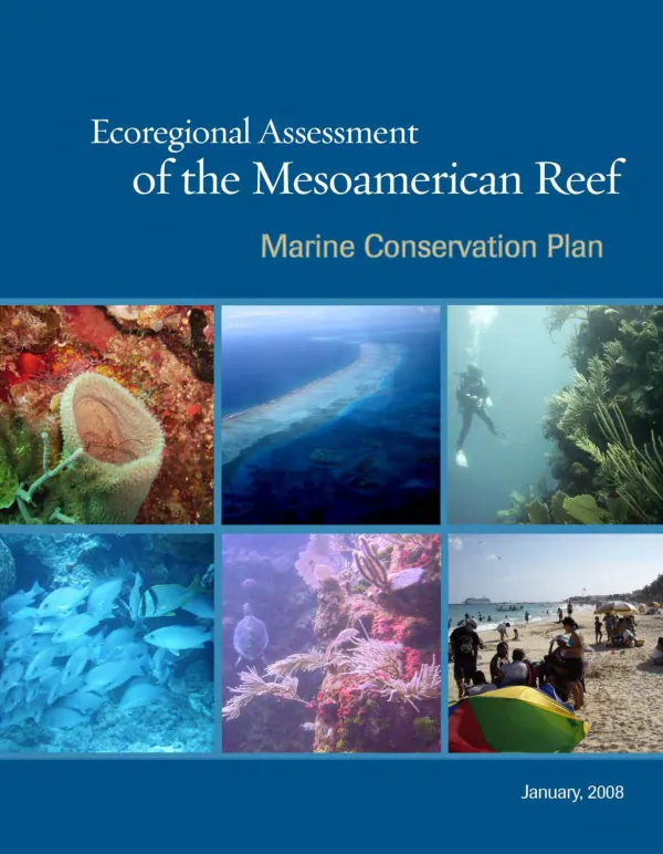 Ecoregional assessment of the mesoamerican reef ; marine conservation plan