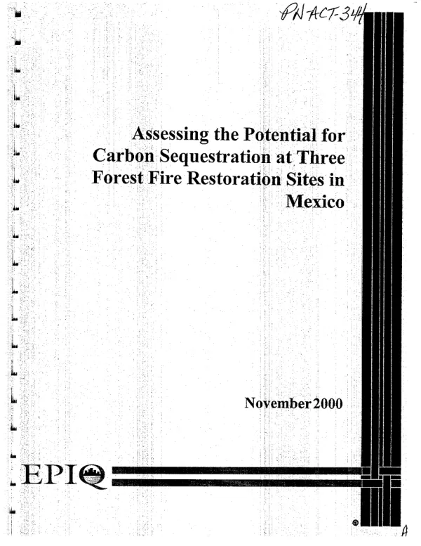Assessing the potential for carbon sequestration at three forest fire restoration sites in Mexico