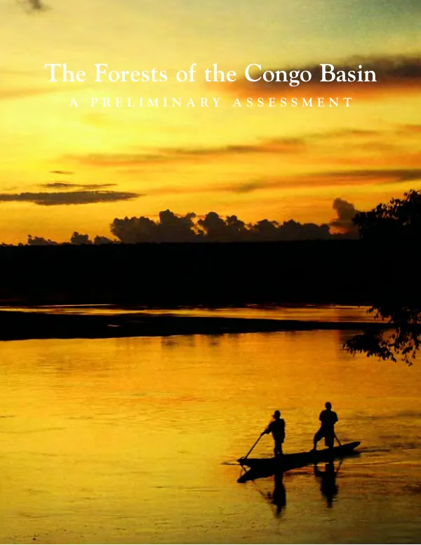The forests of the Congo Basin : a preliminary assessment