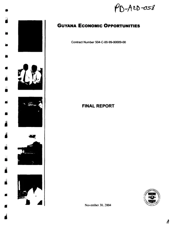 Guyana economic opportunities [GEO] : final report