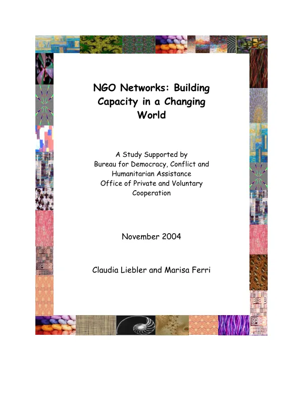 NGO networks : building capacity in a changing world