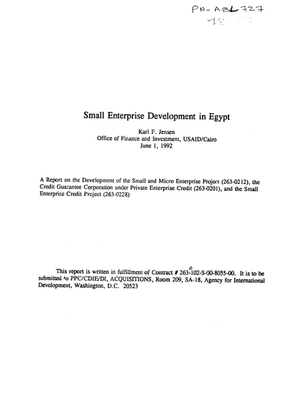 Small enterprise development in Egypt