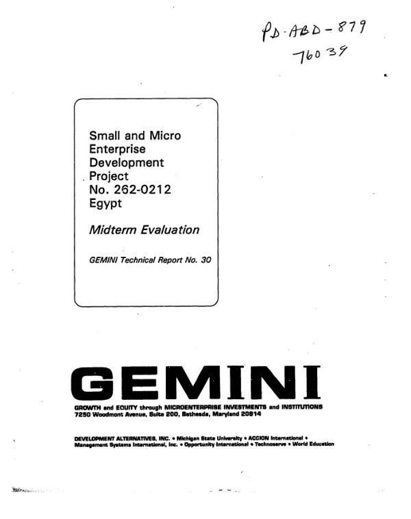 Small and micro enterprise development project no. 262-0212 [i.e. 263-0212], Egypt : midterm evaluation