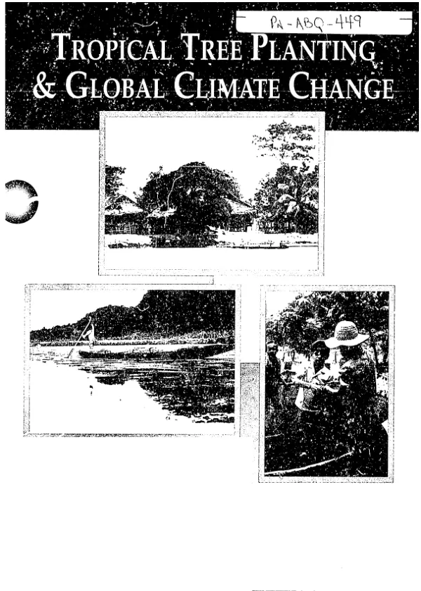Tropical tree planting and global climate change