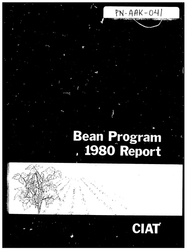 Bean Program; 1980 report