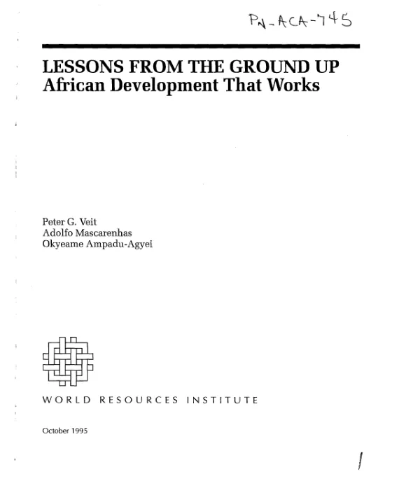 Lessons from the ground up : African development that works
