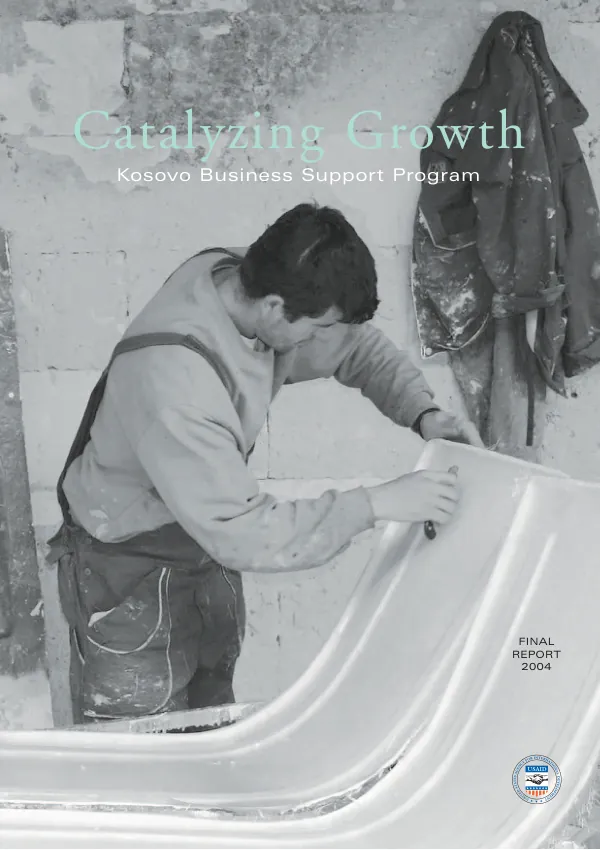 Kosovo business support : employment generation program -- final report 2004