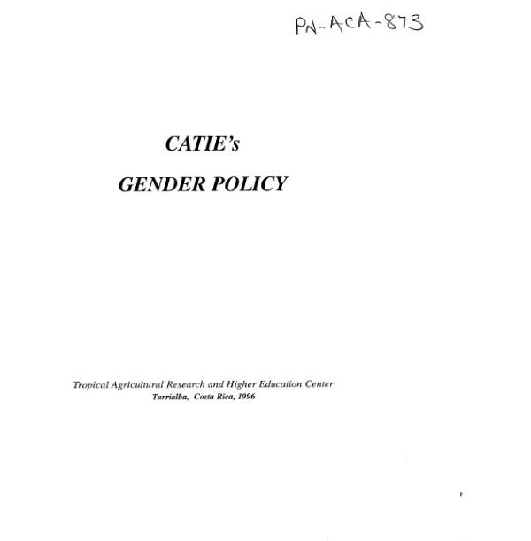 Combating violence against women and children : first annual work plan