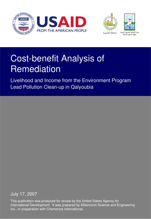 Cost-benefit analysis of remediation