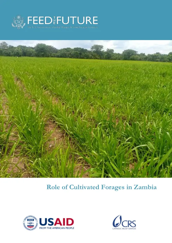 [Feed the future] : role of cultivated forages in Zambia