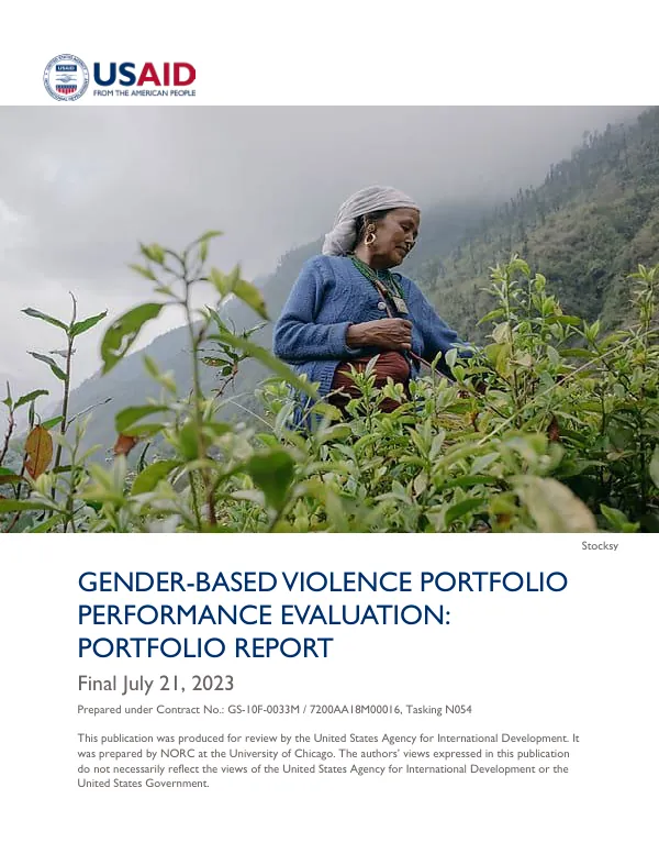 DRG learning, evaluation, and research activity II : gender-based violence portfolio : performance evaluation : portfolio report