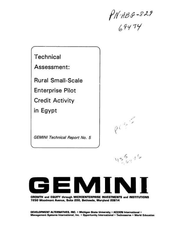 Technical assessment : rural small-scale enterprise pilot credit activity in Egypt