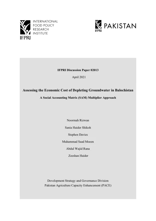 IFPRI discussion paper 02013 : assessing the economic cost of depleting groundwater in Balochistan : a social accounting matrix (SAM) multiplier approach