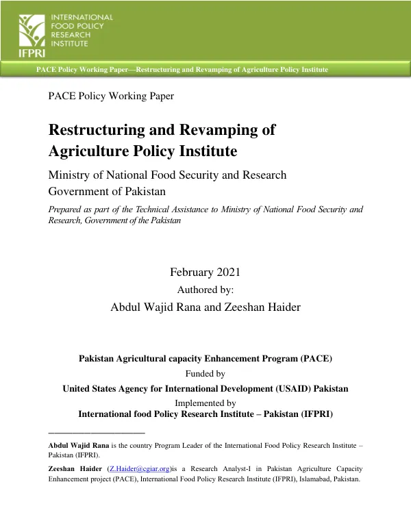 PACE policy working paper : restructuring and revamping of Agriculture Policy Institute