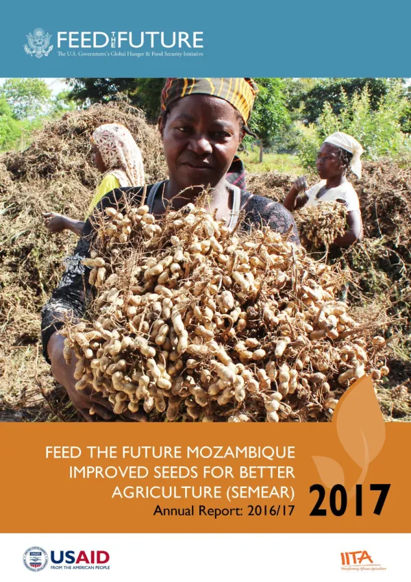 Feed the future Mozambique improved seeds for better agriculture (SEMEAR): annual report 2016/2017