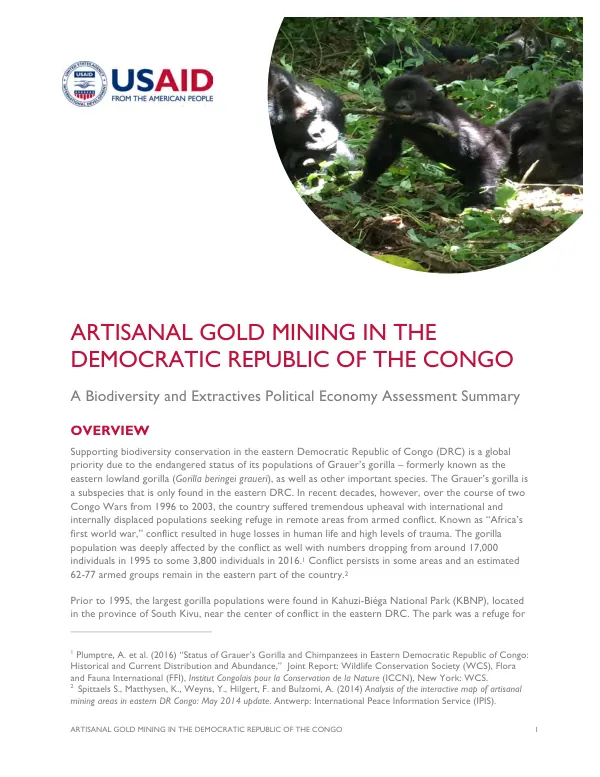 Artisanal gold mining in the Democratic Republic of Congo : a biodiversity and extractives political economy assessment summary