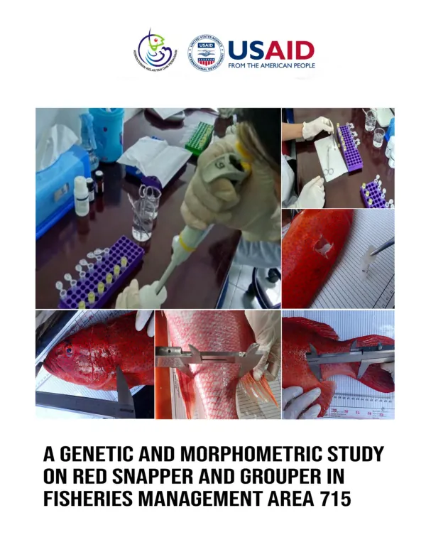 A genetic and morphometric study on red snapper and grouper in fisheries management area 715 : study on malabar blood snapper (lutjanus malabaricus) and leopard coral grouper (plectropomus leopardus)