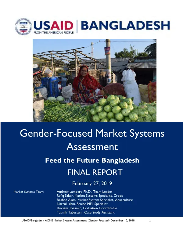 Gender-focused market systems assessment : final report
