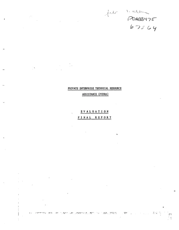 Private enterprise technical resource assistance (PETRA) : evaluation final report