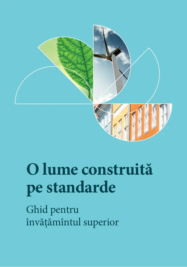 Guidelines for universities on standardization