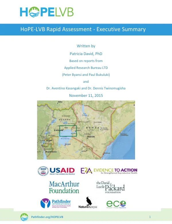 HoPE-LVB rapid assessment : executive summary