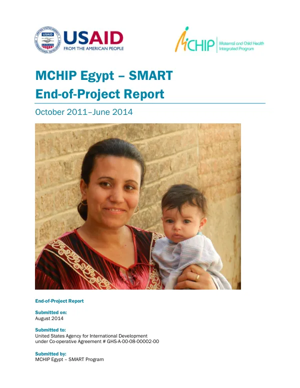 MCHIP Egypt SMART end-of-project report : October 2011-June 2014