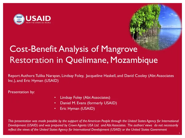 Cost-benefit analysis of mangrove restoration in Quelimane, Mozambique