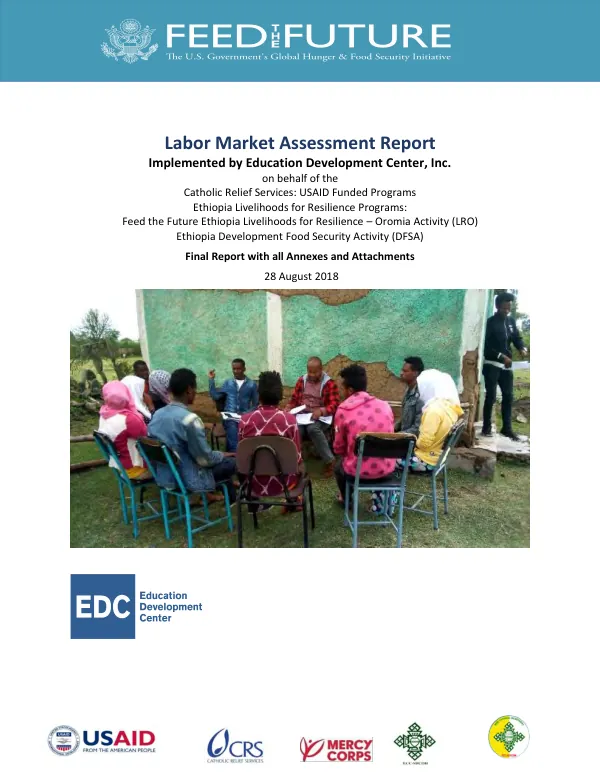 Labor market assessment report : final report with all annexes and attachments