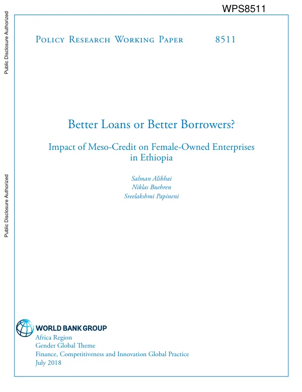 Better loans or better borrowers ? impact of meso-credit on female-owned enterprises in Ethiopia