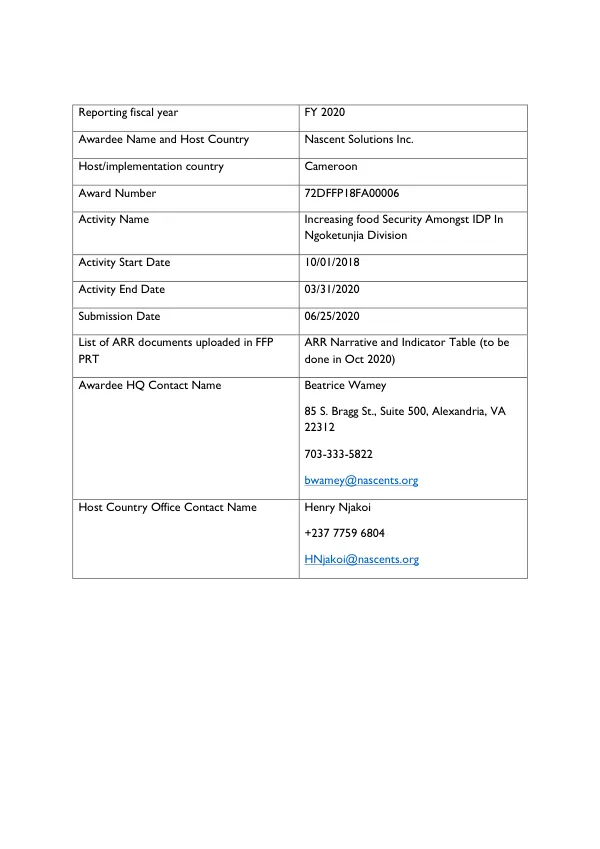 [Nascent solutions : increasing food security amongst IDP in Ngoketunjia division : final report]