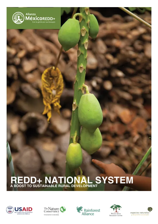Mid-term evaluation (MTE) of the SHOUHARDO III program : summary report (MTE report, volume II)