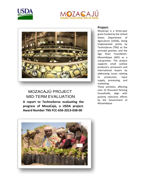 [USDA FY 2013 food for progress] MozaCaju project mid-term evaluation