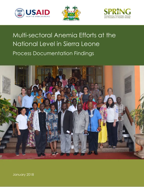 Multi-Sectoral Anemia Efforts at the National Level in Sierra Leone