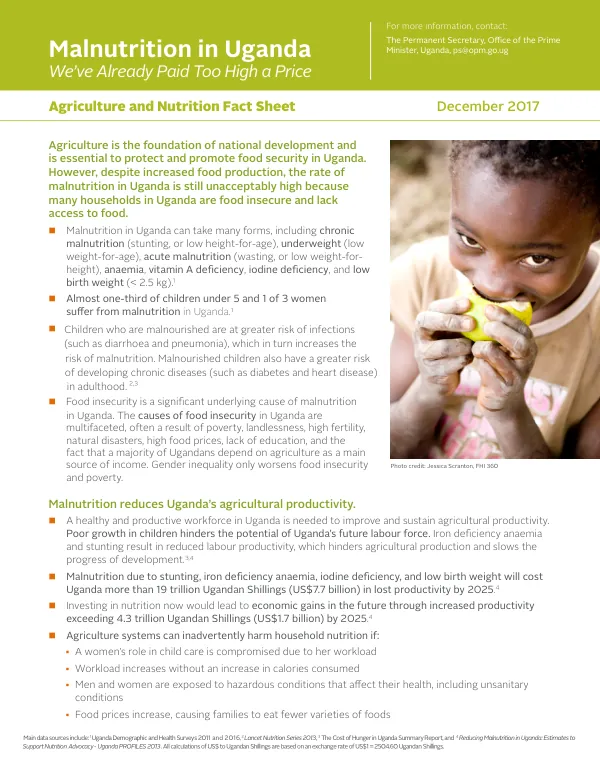 Malnutrition in Uganda: We’ve Already Paid Too High a Price (set of 11 briefs)