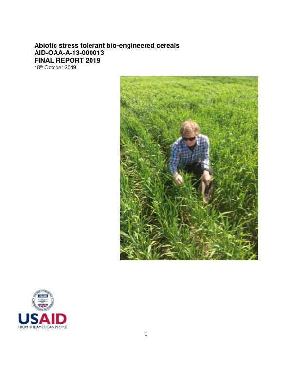 Abiotic stress tolerant bio-engineered cereals : final report