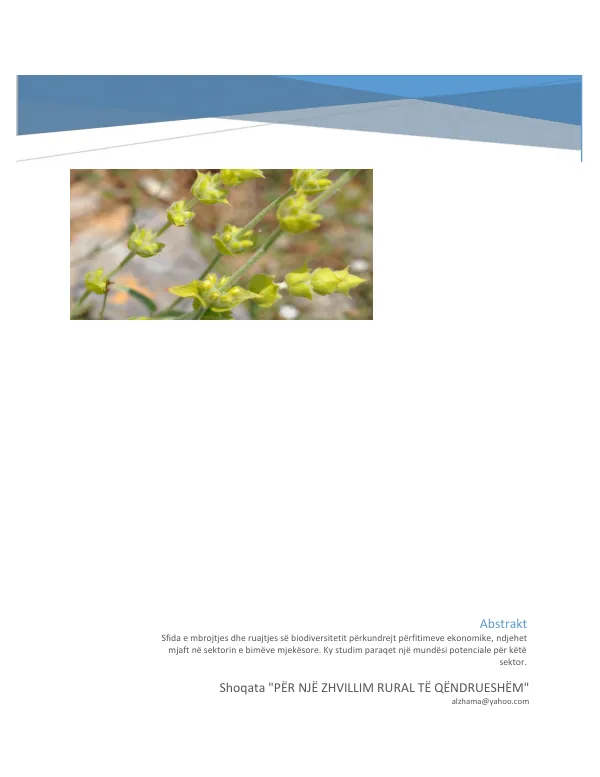 Performance Management Plan: Chlorhexidine Navi Care Project